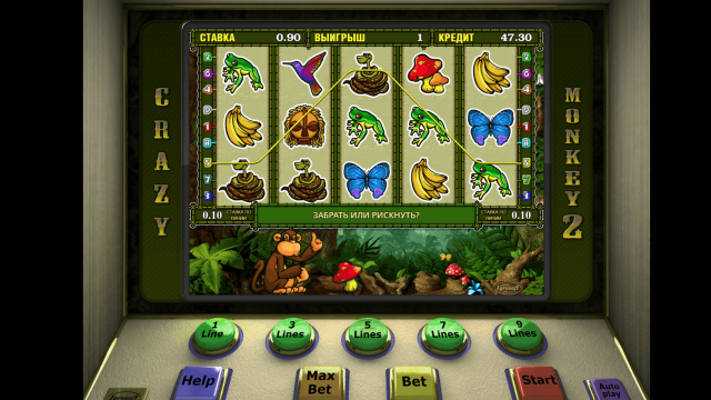 Crazy Monkey 2 10